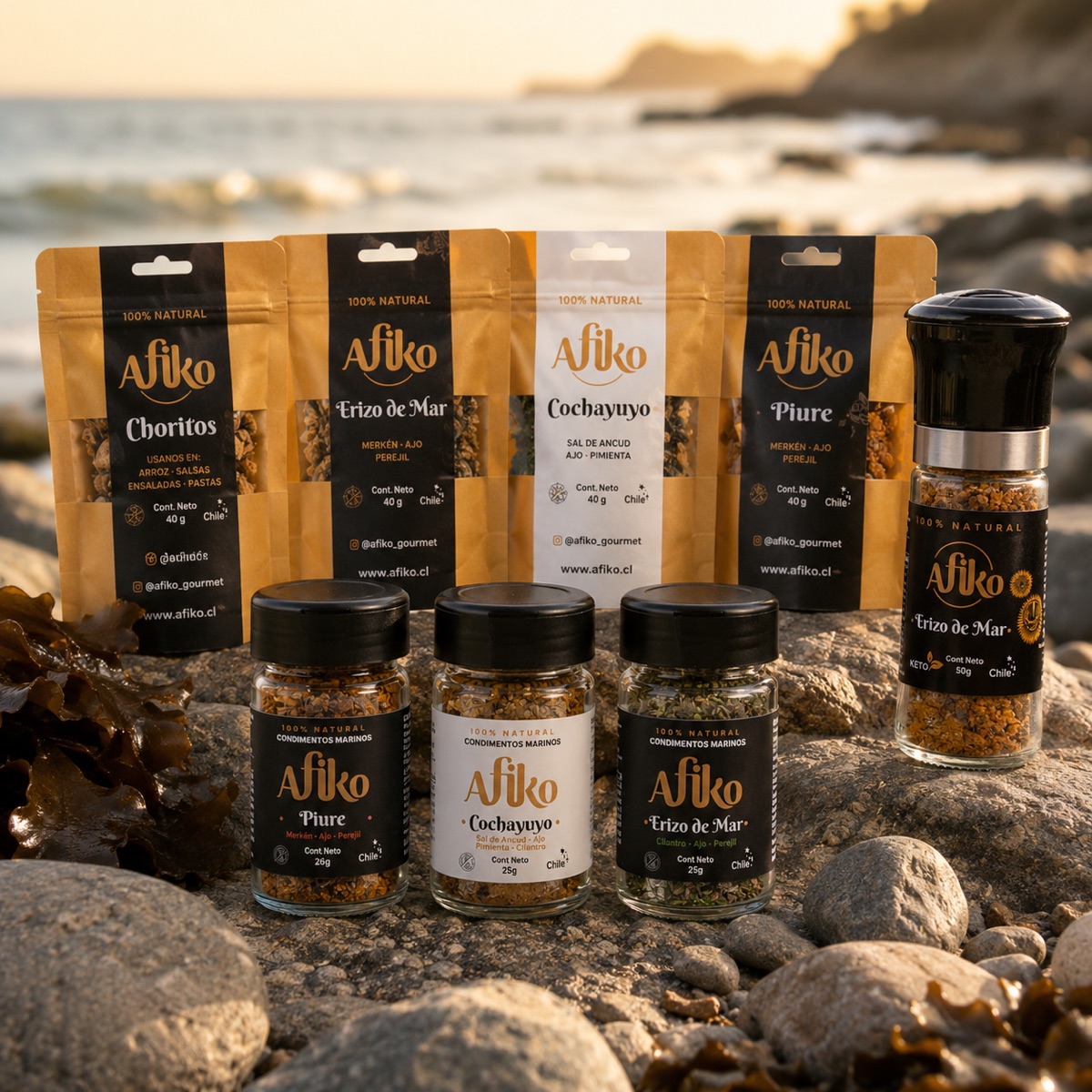 Afiko — productos del mar del sur de Chile
