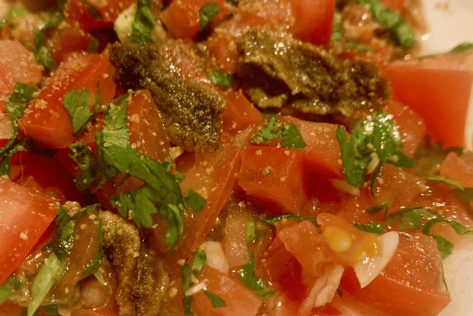 Pebre – Por Alicia Rodríguez S